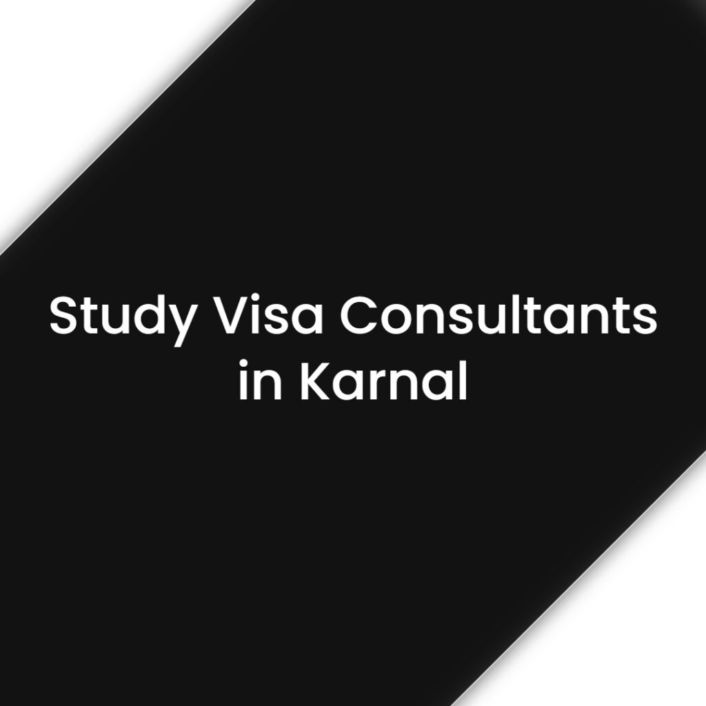 Best Study Visa Consultants in Karnal